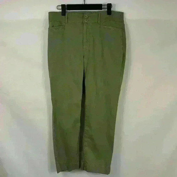 LOFT CURVY STRAIGHT CROPPED PANTS Boho Business Casual Earth Tone - Picture 1 of 9